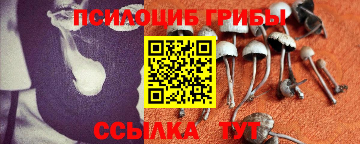 Галлюциногенные грибы мицелий Сергиев Посад