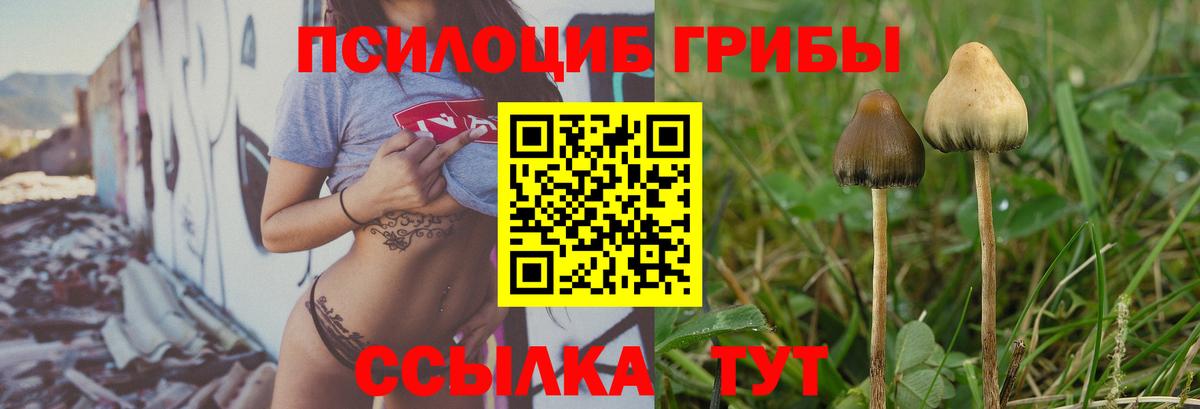 Галлюциногенные грибы ЛСД  Галлюциногенные грибы ЛСД  Сергиев Посад  Вход с VPN 